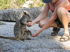 CairnsTC124 Granite Gorge